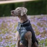 Abrigo reversible para perro RED-DINGO (negro-gris)