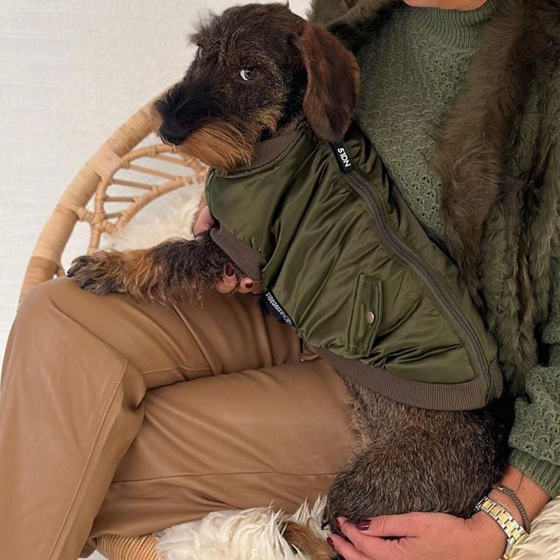 Chaqueta Bomber para perro
