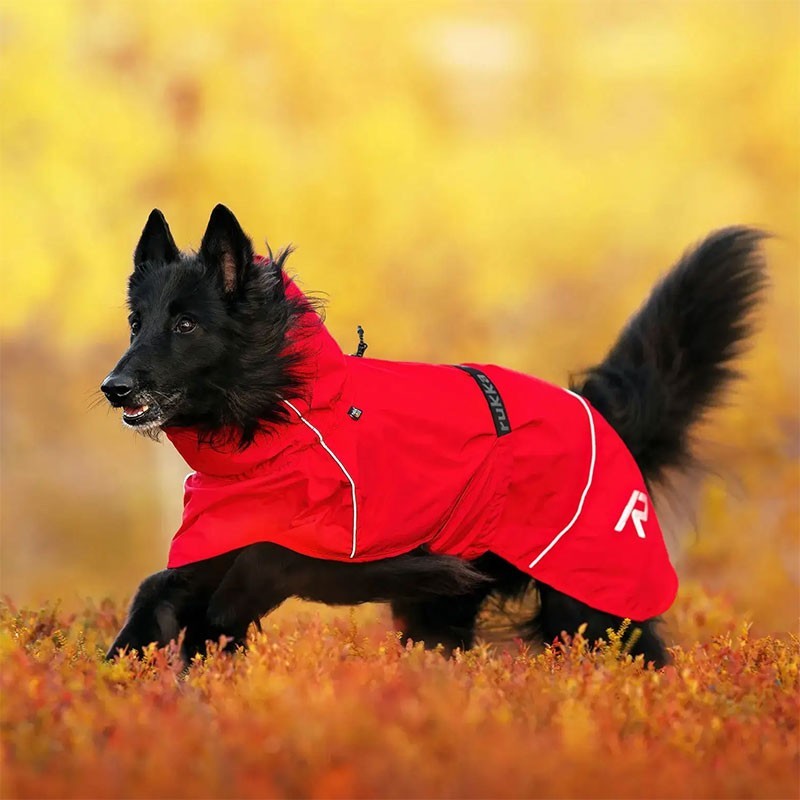 Chubasquero Hayton X Rojo para Perros Impermeable y Transpirable