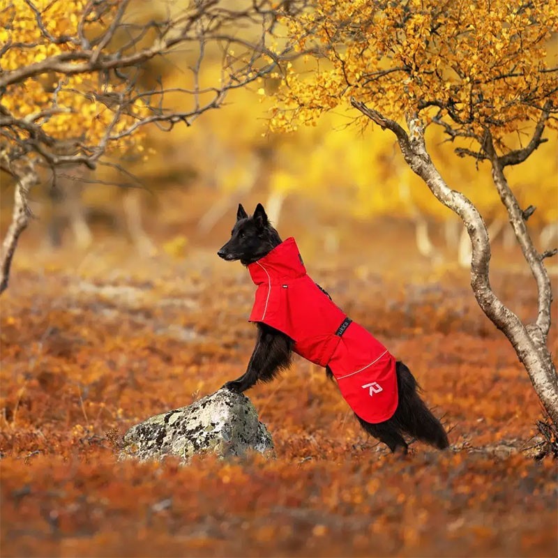 Chubasquero Hayton X Rojo para Perros Impermeable y Transpirable