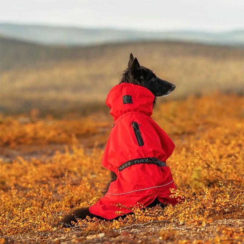 Chubasquero Hayton X Rojo para Perros Impermeable y Transpirable