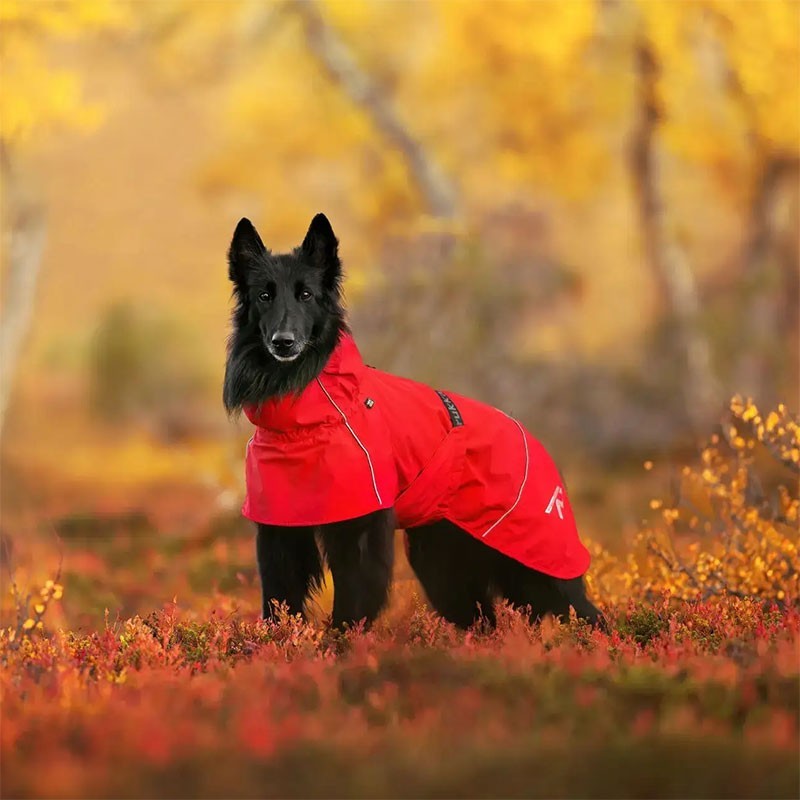 Chubasquero Hayton X Rojo para Perros Impermeable y Transpirable