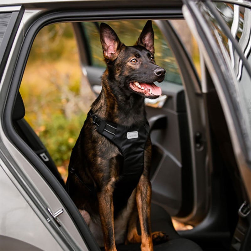 Arnés RUKKA Car Harness para coche de perro | Smartdog