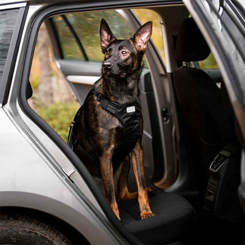 Arnés RUKKA Car Harness para coche de perro | Smartdog