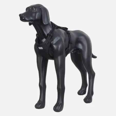 Arnés de perro para coche