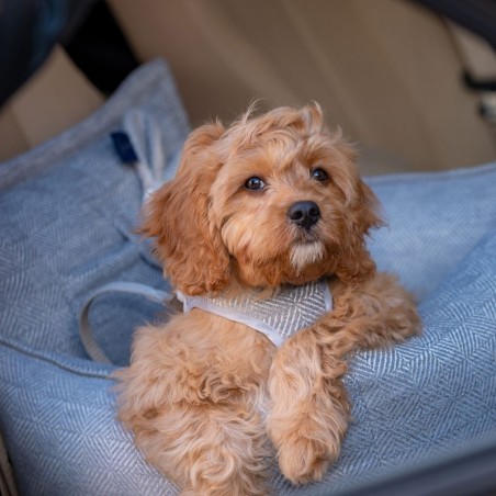 Asiento de coche para perro Florence gris