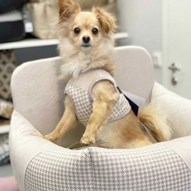 Asiento para perro Finessa Modern blanco