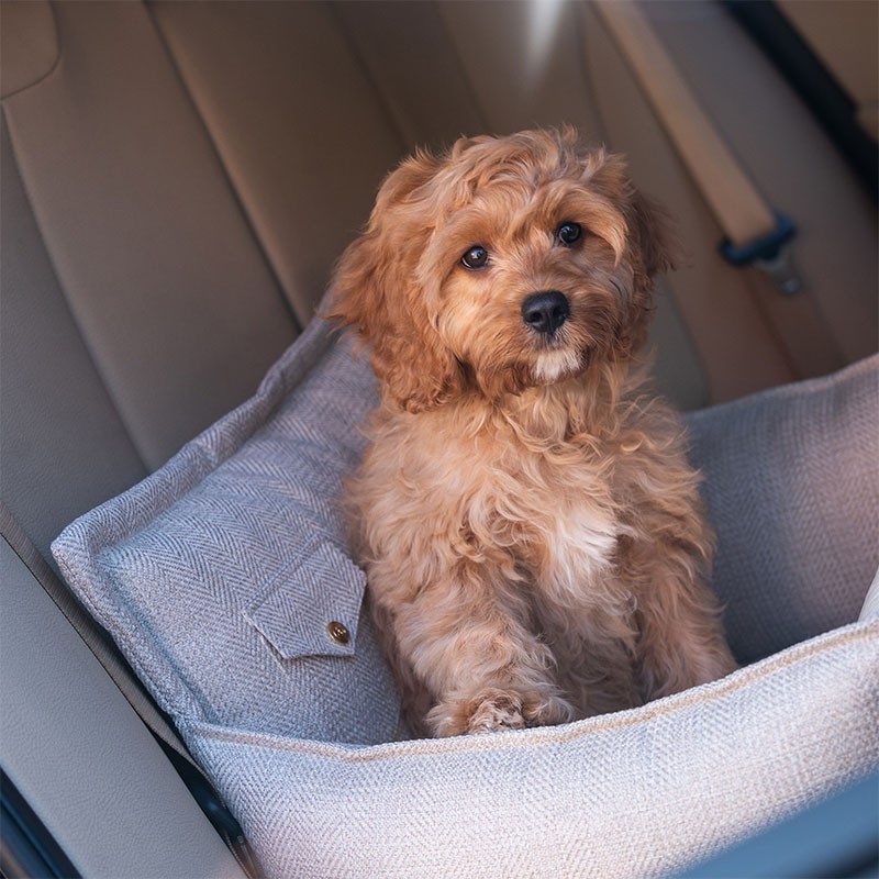 Asiento coches perros Winston beige
