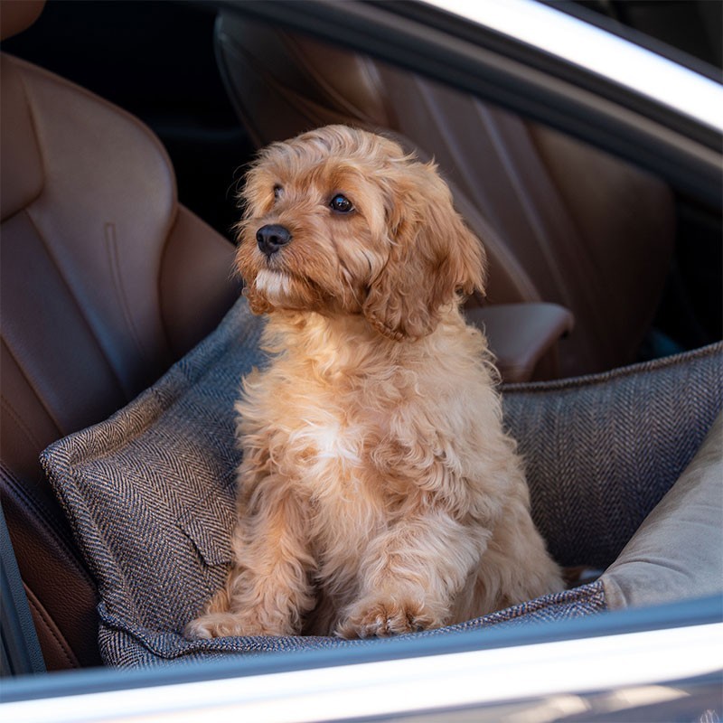 Asiento para perro Winston para coche beige oscuro