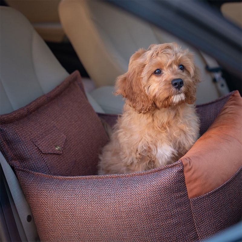 Asiento para perro Winston Ore