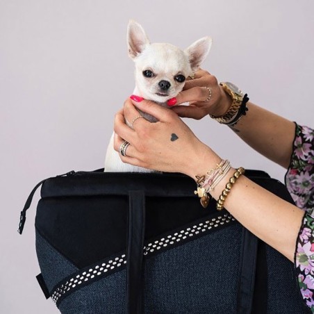 Bolso para perro Moonlight