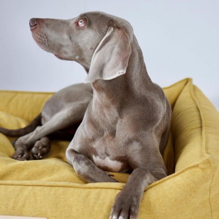 Labbvenn MØVIK Miel | Cama para perro desenfundable