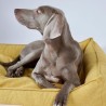 Labbvenn MØVIK Miel | Cama para perro desenfundable