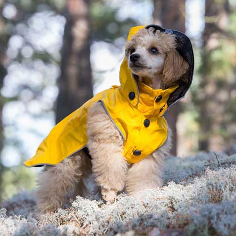 Chubasquero amarillo para perro STREAM