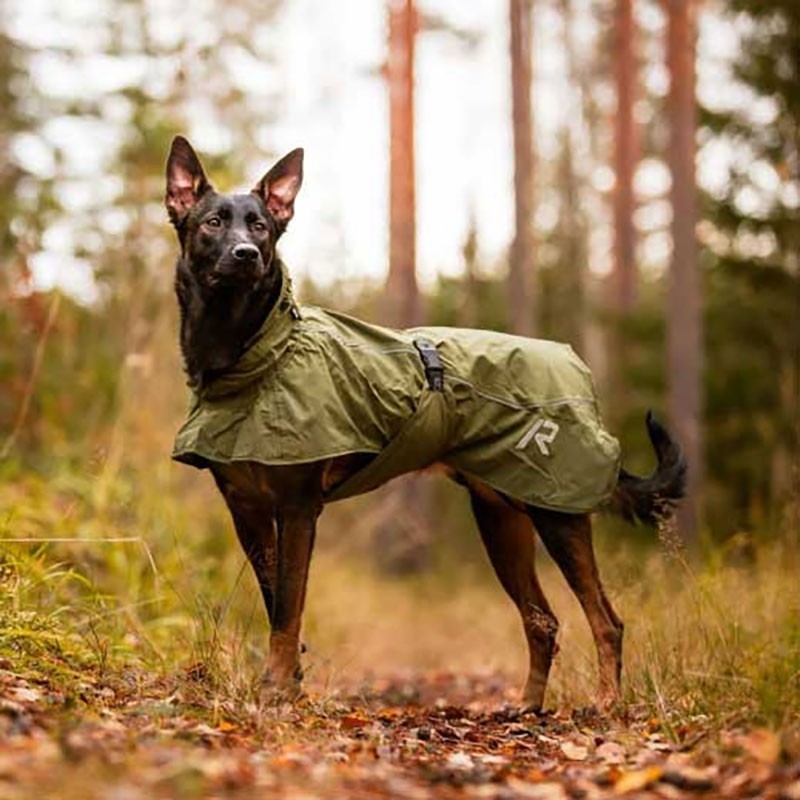 Chubasquero perro de lluvia SKY