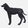 Rukka Protect Overall | Chubasquero completo para perro
