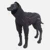 Impermeable integral per a gossos