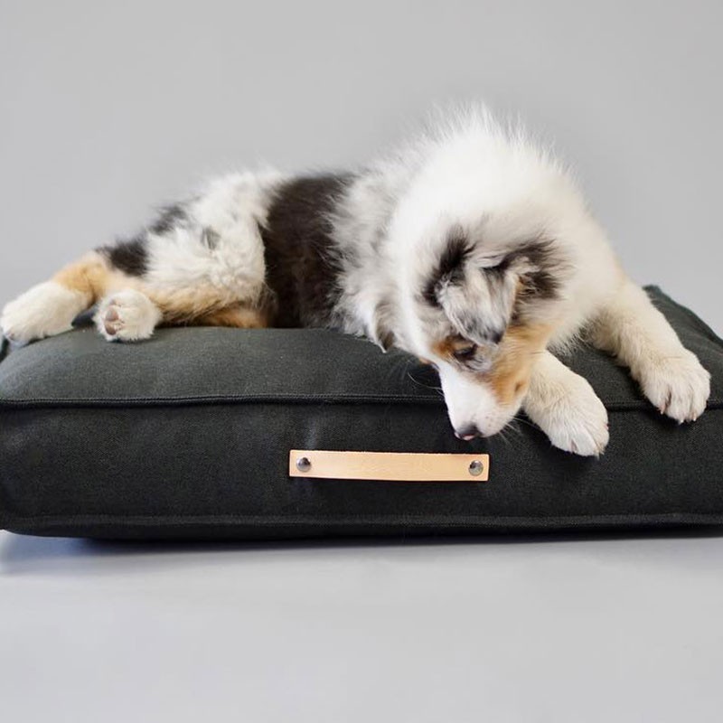 Labbvenn MØVIK: coixí per a gos antracita | Smartdog
