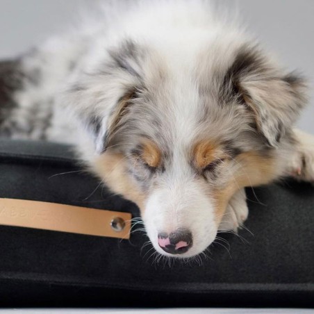 Labbvenn MØVIK: colchón para perro antracita | Smartdog