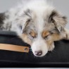 Colchón para perro MØVIK Antracita