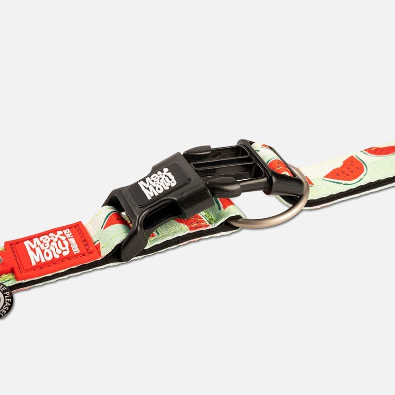Collar Watermelon