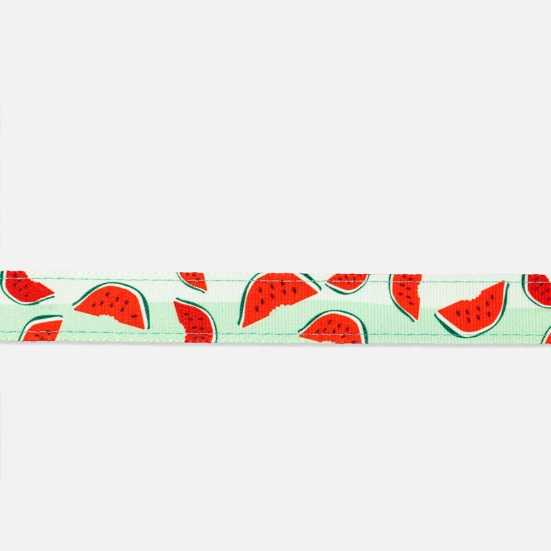 Arnès Watermelon