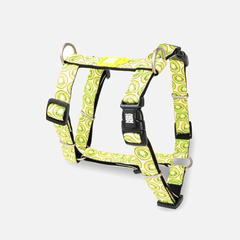Arnés Kiwi Max & Molly