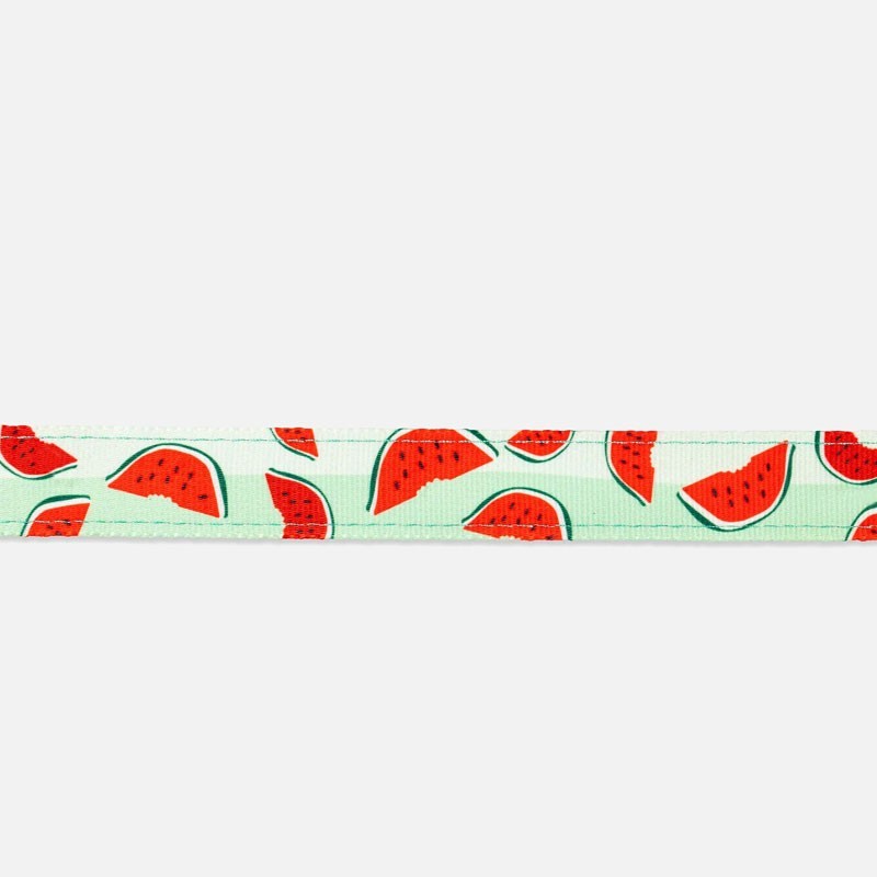 Correa Multi Funcional WaterMelon