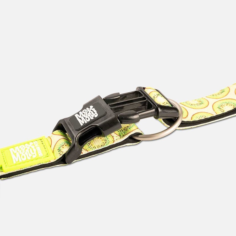 Collar Kiwi