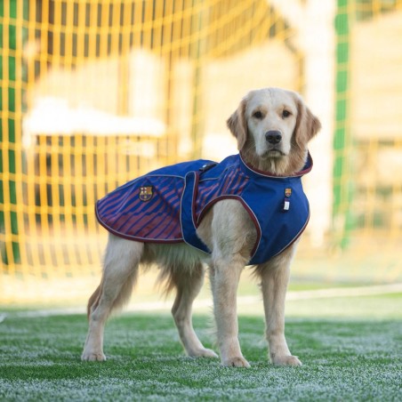 Chubasquero oficial FC Barcelona para perros impermeable blaugrana