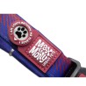 Collar Oficial FC Barcelona per a Gossos