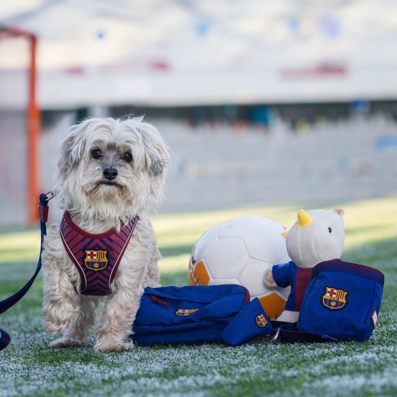Bolsa de Recompensas Oficial FC Barcelona