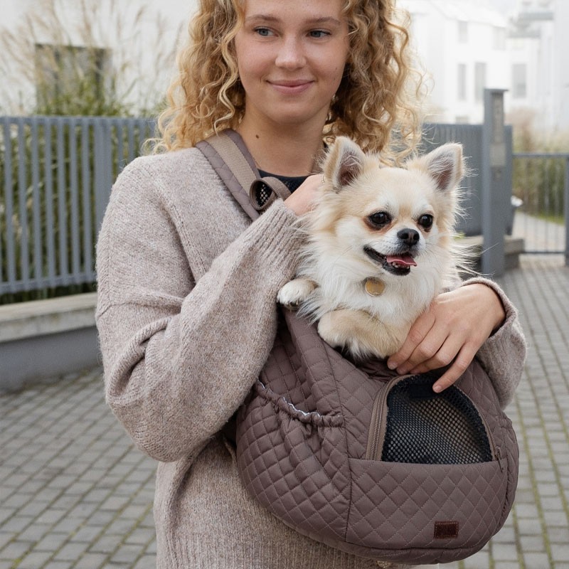 Motxilla Hailey Muffin & Berry per a gos petit | Smartdog