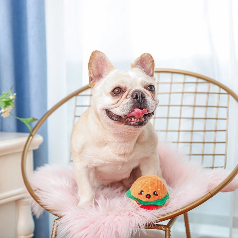 Pelota Hamburguesa HugSmart para perro | Juguete 2 en 1