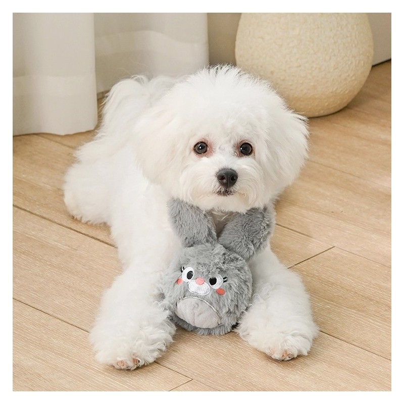 Bola Conejo HugSmart 2 en 1 para perro | Smartdog
