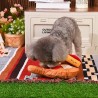 Tabla de quesos HugSmart | Juguete interactivo para perros