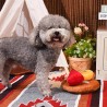 Tabla de quesos HugSmart | Juguete interactivo para perros