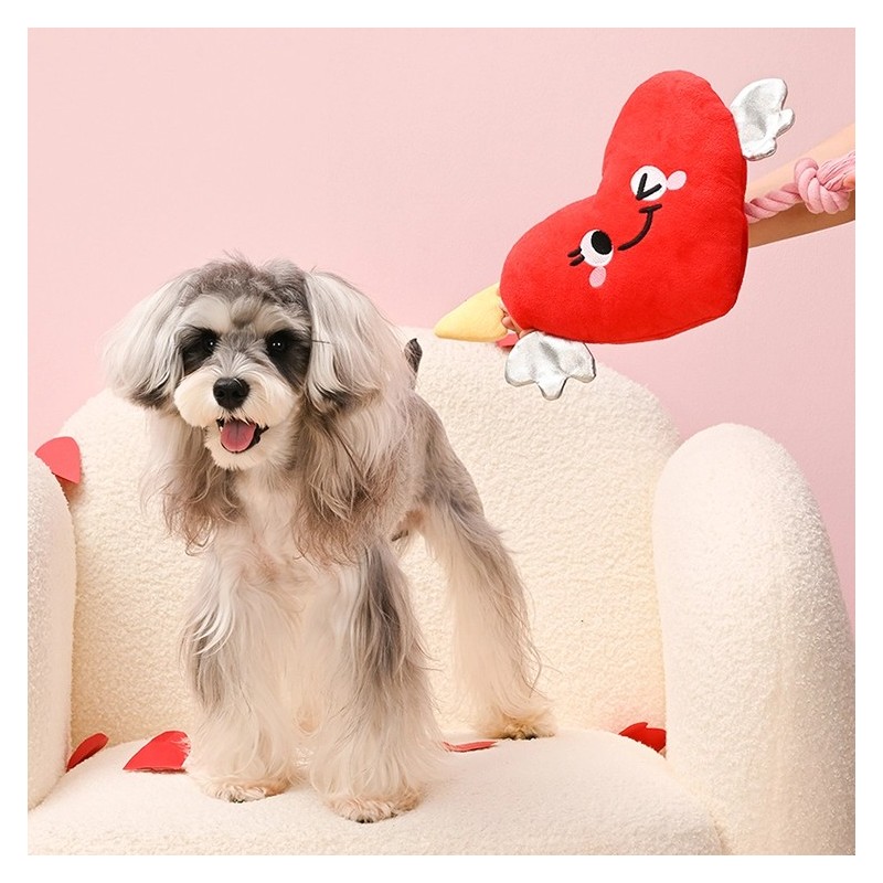 Corazón y Flecha