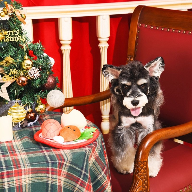 Juguete para perro - Cena de navidad
