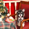 HugSmart Cena de Navidad | Juguete olfativo para perros