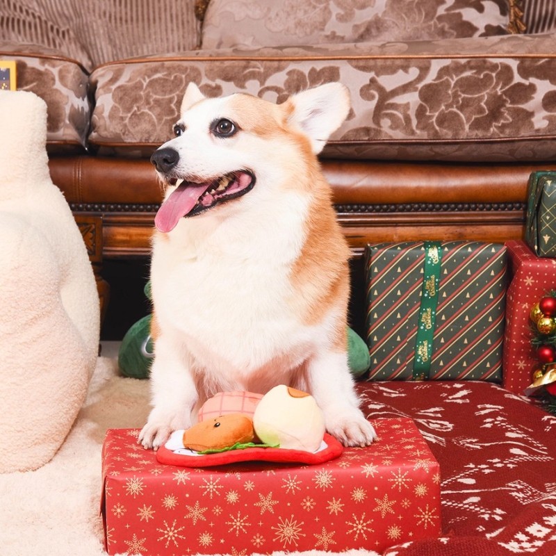Juguete para perro - Cena de navidad