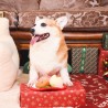 HugSmart Cena de Navidad | Juguete olfativo para perros