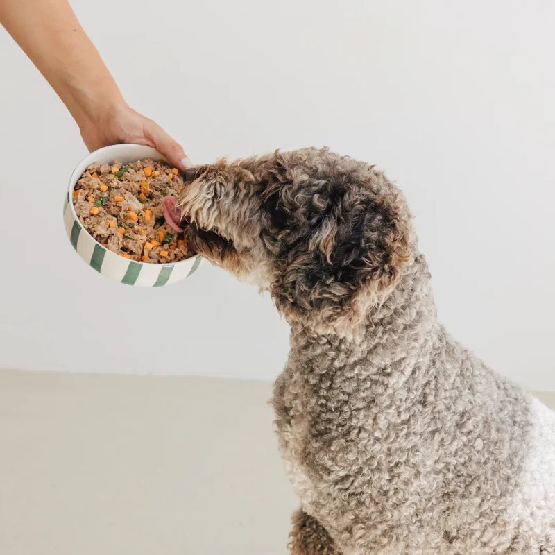 Wild Balance lata de pollo 400 g para perros