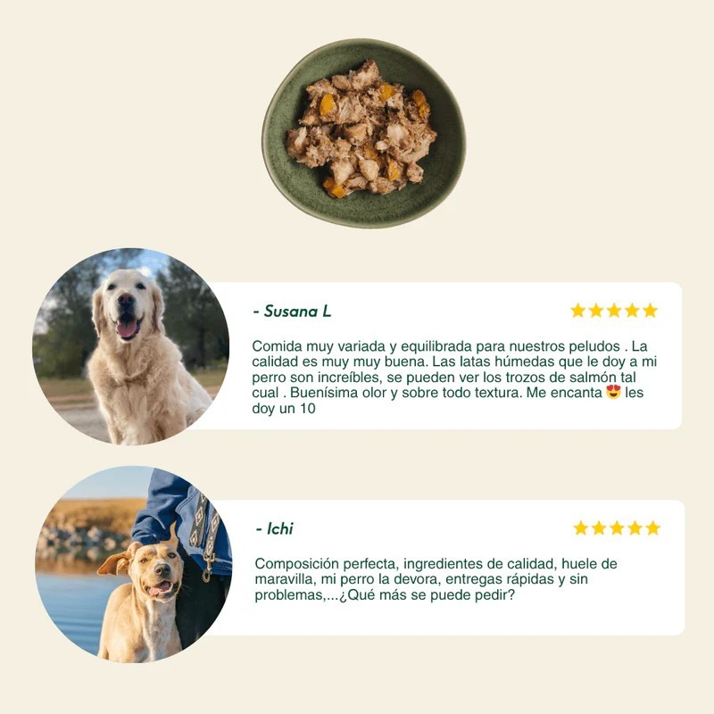 Wild Balance lata de pollo 400 g para perros