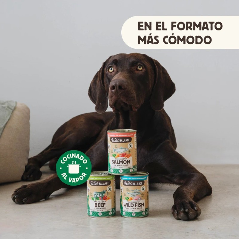 Wild Balance lata de salmón y ternera con verduras frescas para perros 400 g