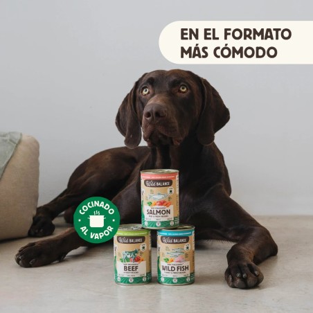 Wild Balance lata de salmón y ternera con verduras frescas para perros 400 g