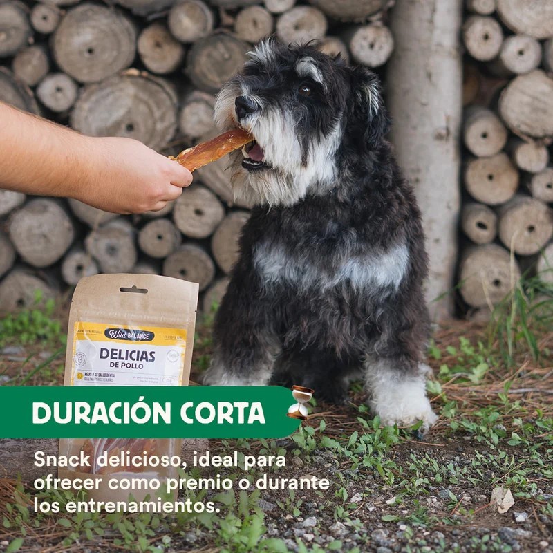 Delicias de pollo deshidratadas Wild Balance 100% natural