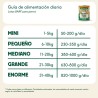 Wild Balance lata de cerdo con verduras frescas para perros 400 g