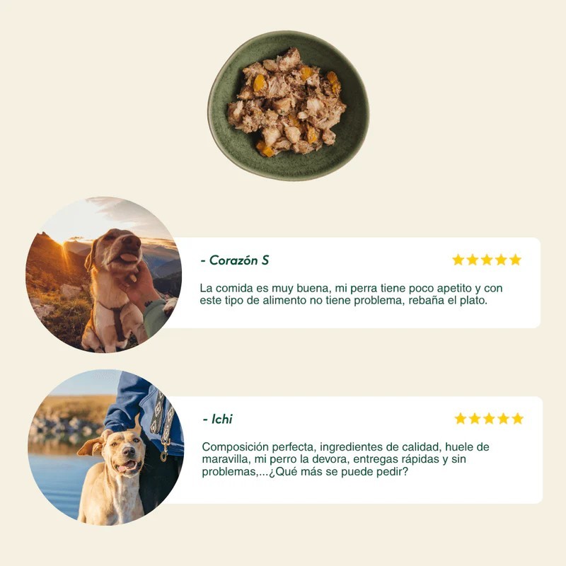 Wild Balance llauna de porc amb verdures fresques per a gossos 400 g