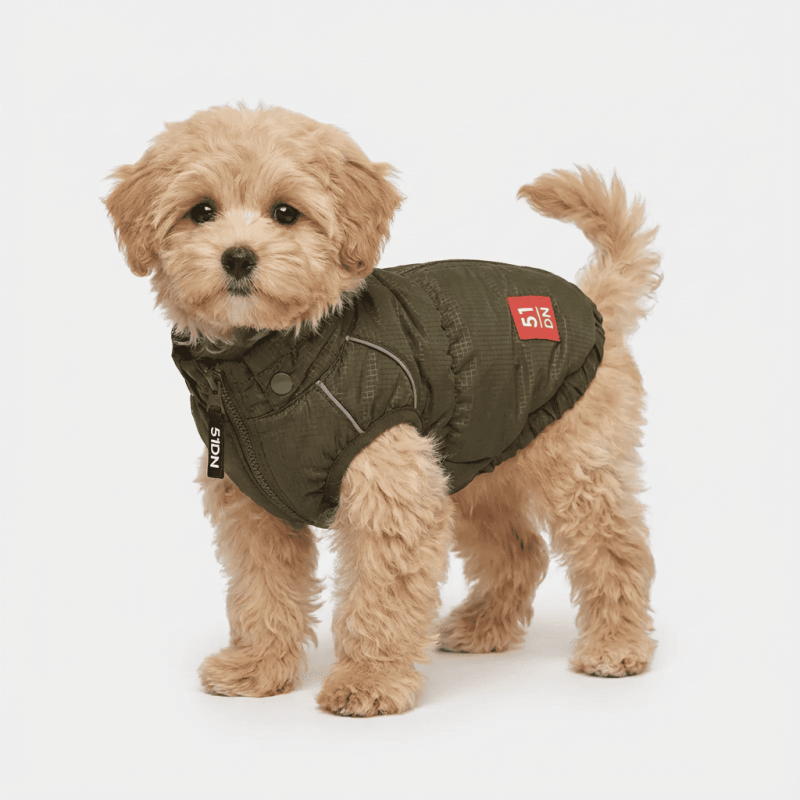 Abrigo para perro Adventure verde | 51 Degrees North